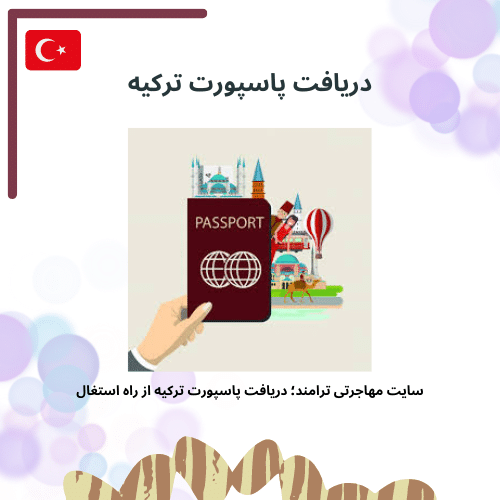 تولد فرزند دریافت پاسپورت ترکیه