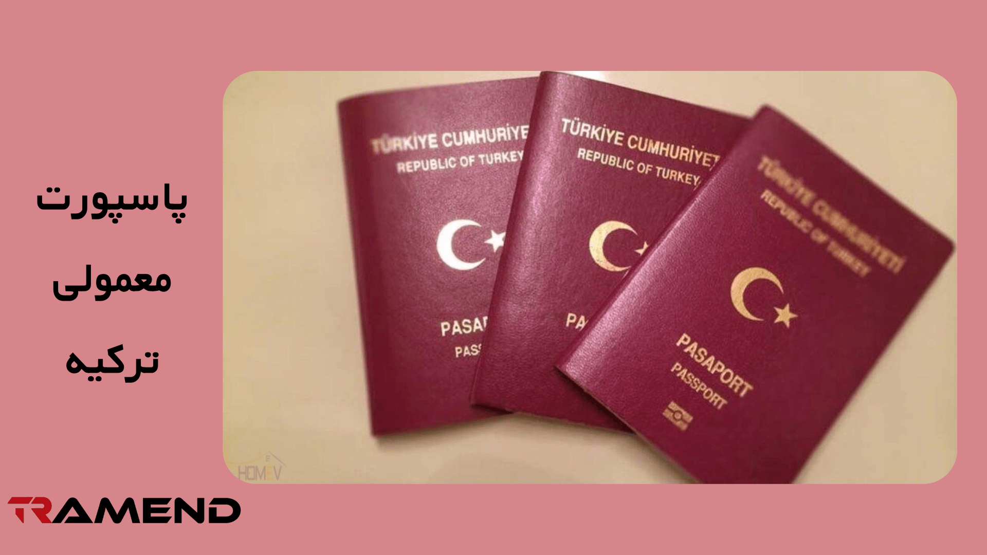 پاسپورت معمولی ترکیه